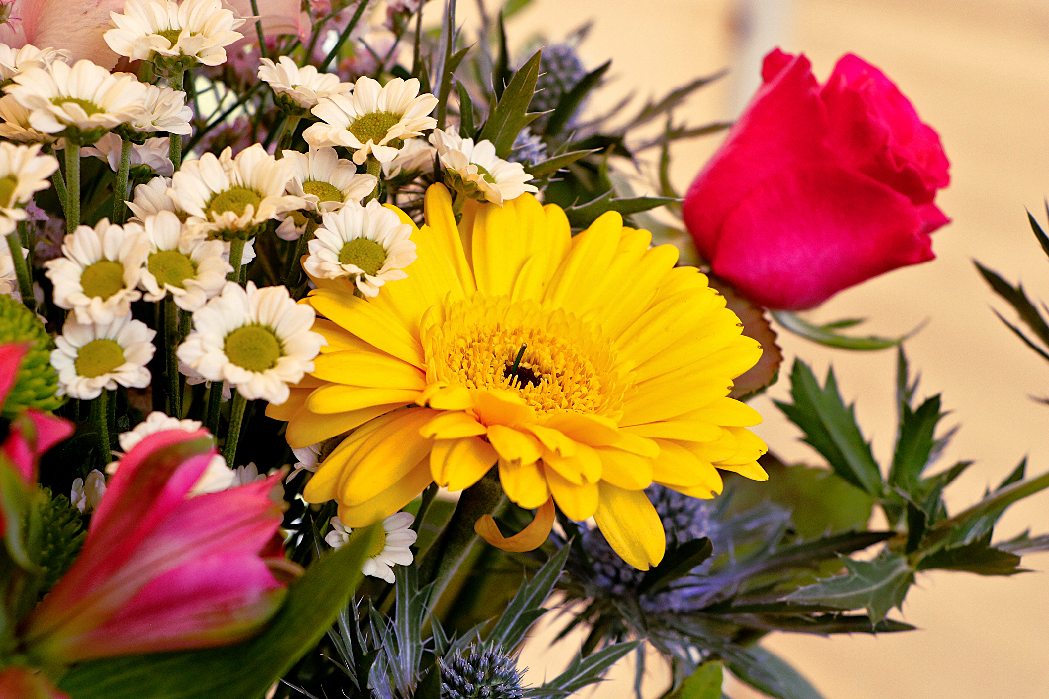 Billige mors dag buketter 2026: Her kan du finde smukke blomster under 300 kr