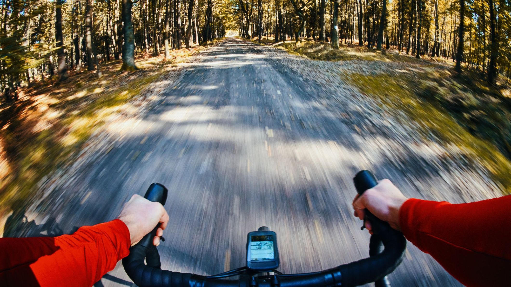POV picture of man riding gravel bike in forest during autumn fall