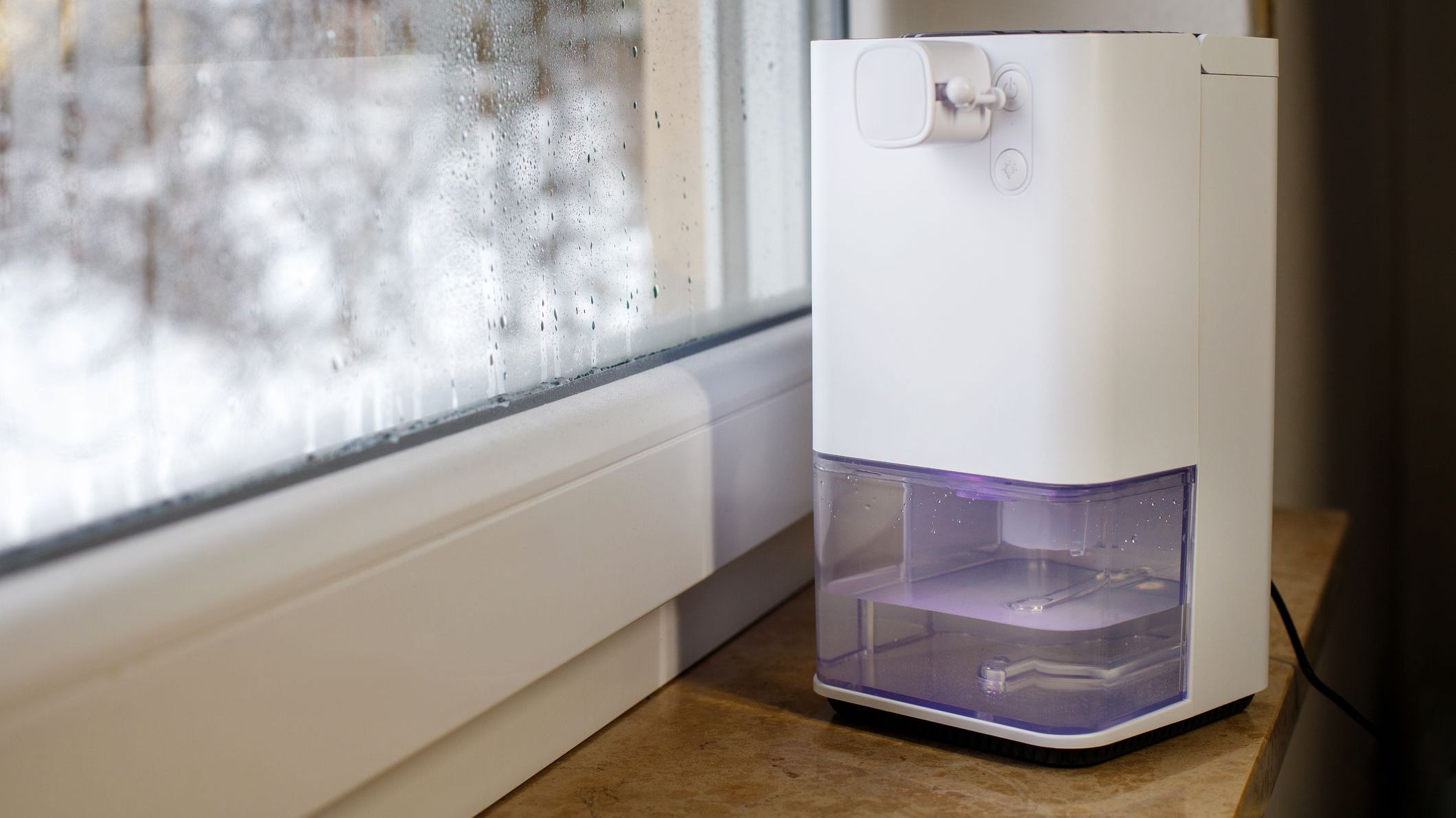 Dehumidifier, humidity indicator, air ionizer, water container works by wet window