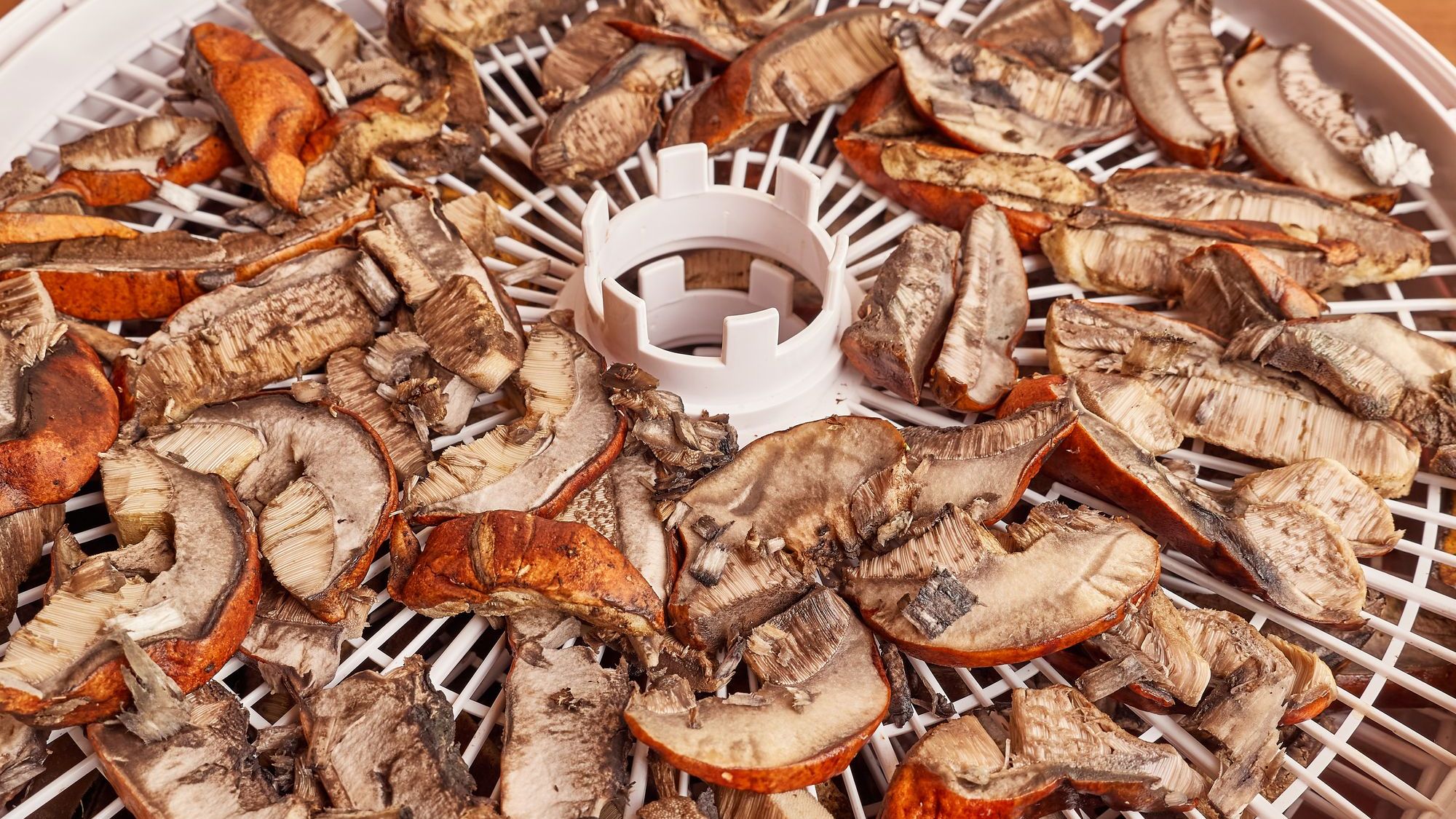 Mushrooms are cut on a grate in an electric dryer. Preparation of dried mushrooms.