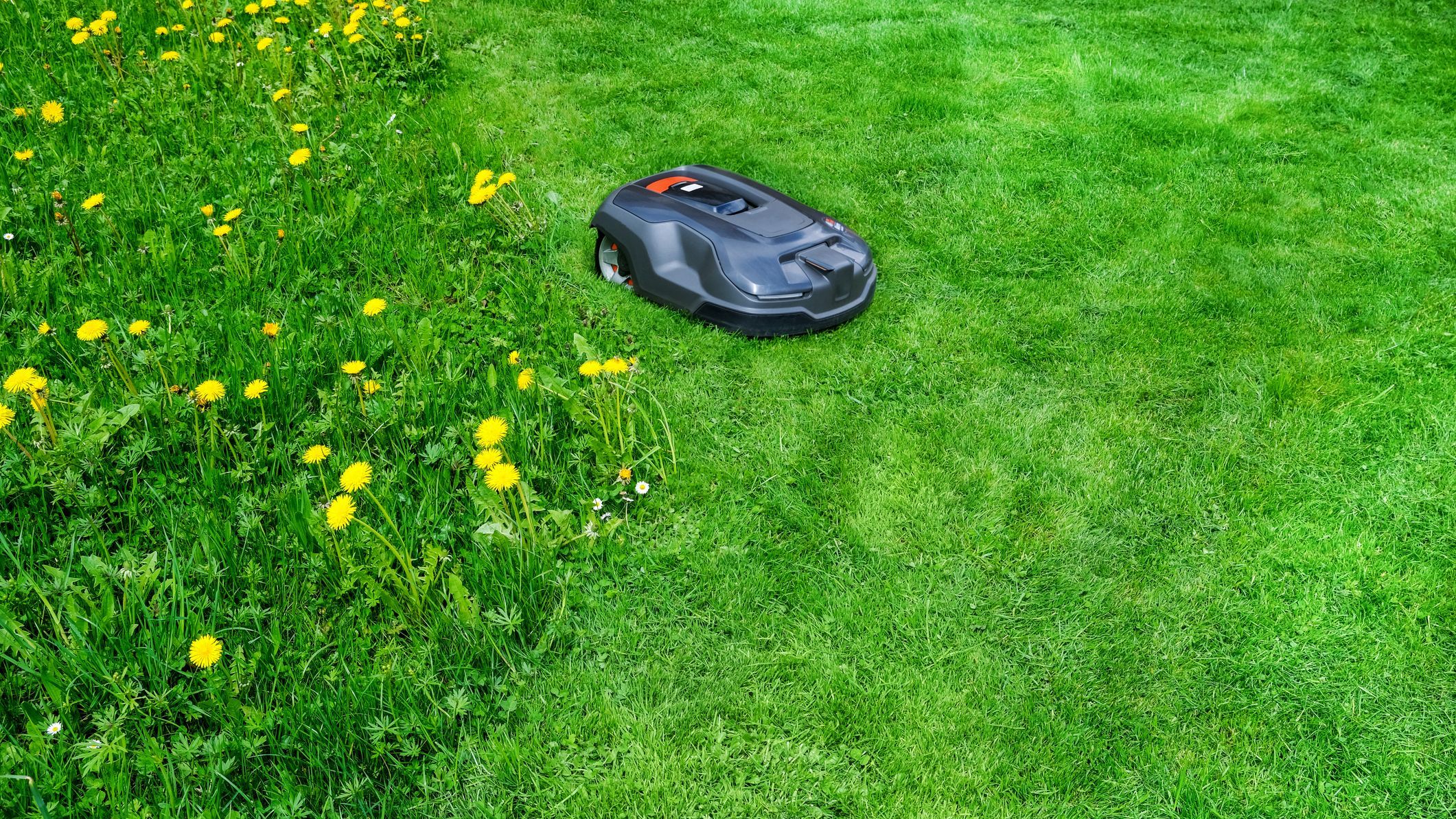Lawnmower robot on green grass background.