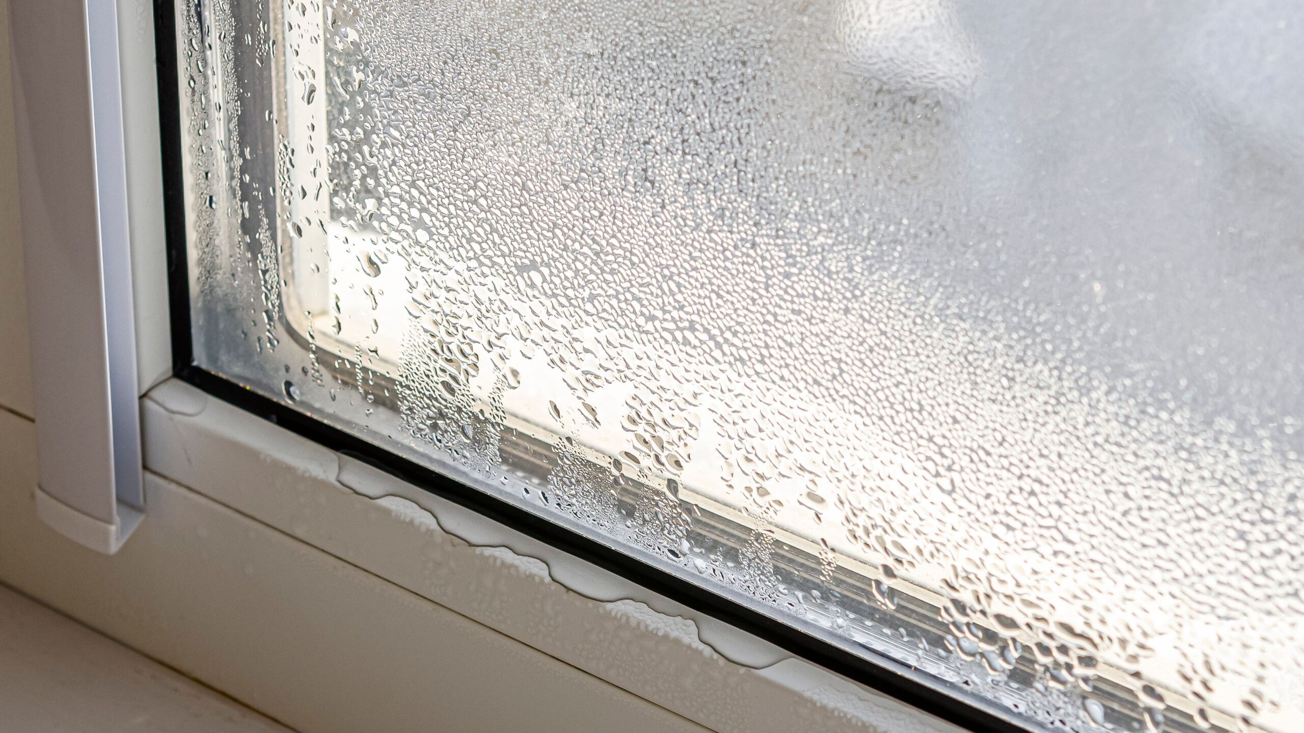 Drops of condensate and black mold on a substandard metal-plastic window