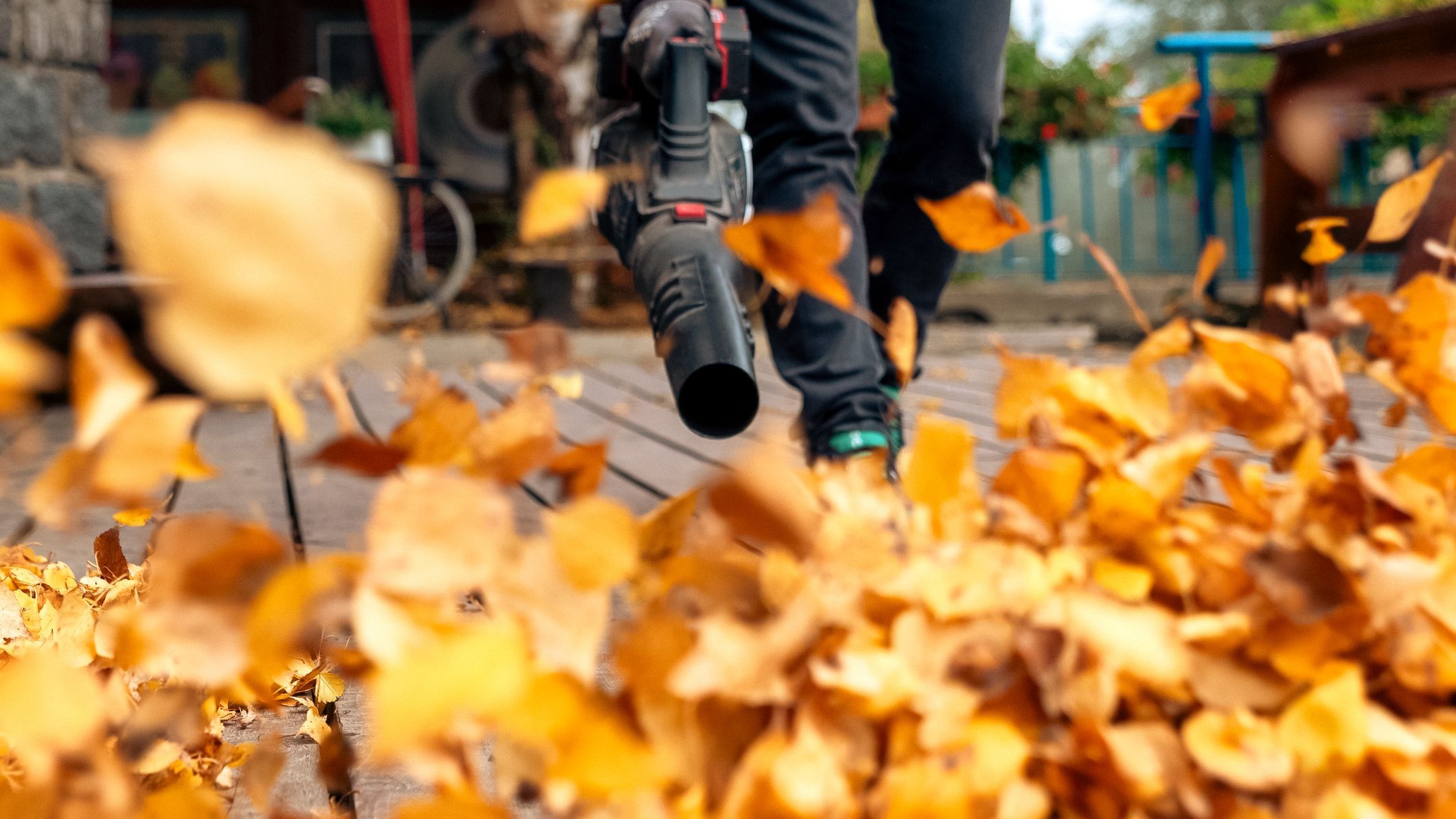 Close up of leaf blower clearing dry autumn leaves during seasonal yard maintenance
