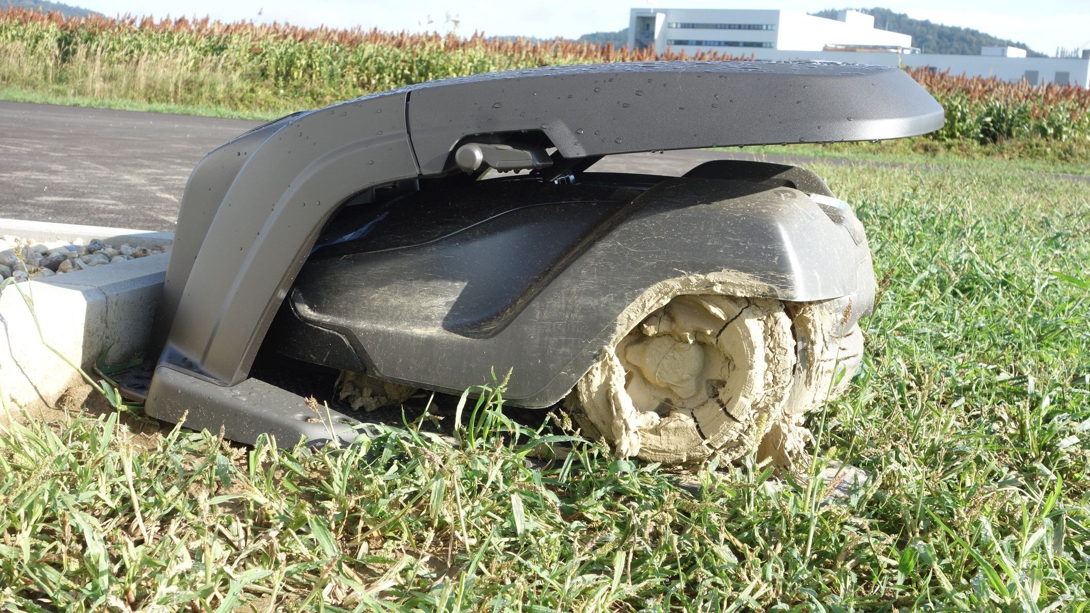 Mudret robotplæneklipper som det ser ud i efteråret