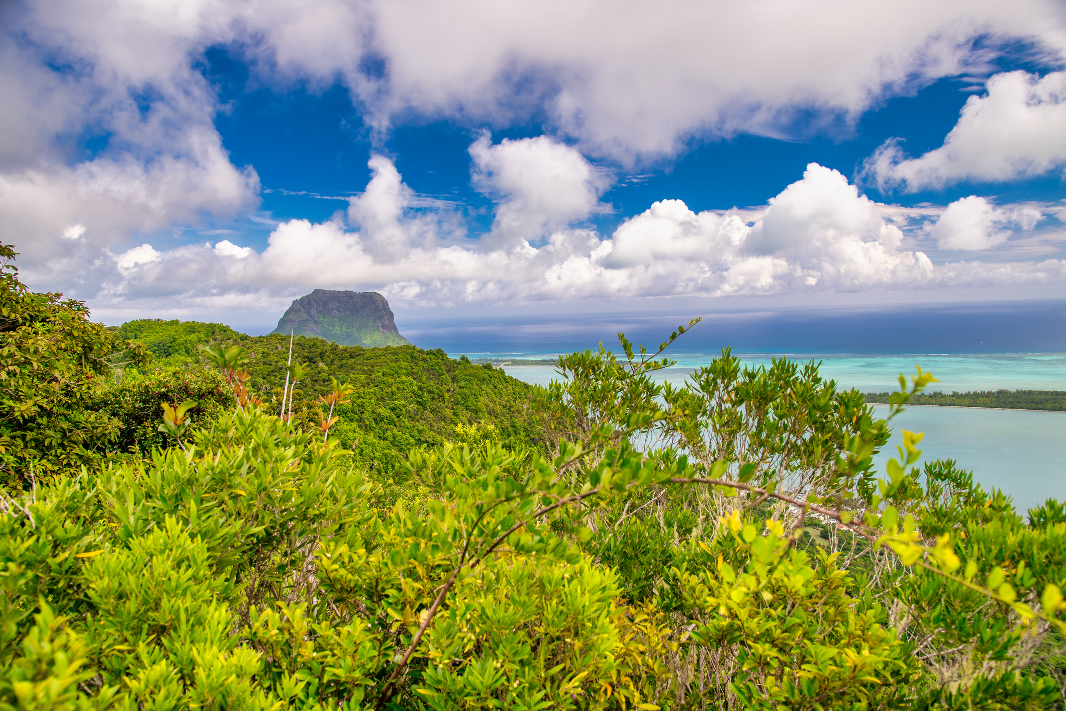 Stranden og Le Morne-bjerget på Mauritius. Destinationsbillede.